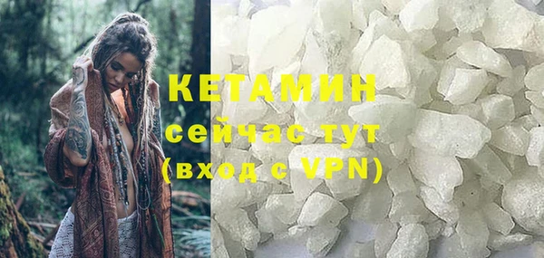 соль ск Новозыбков