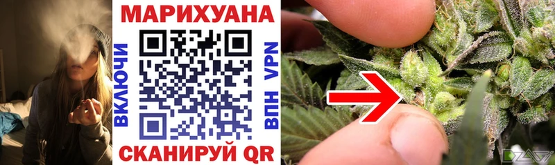 где купить наркотик  Константиновск  Каннабис семена 